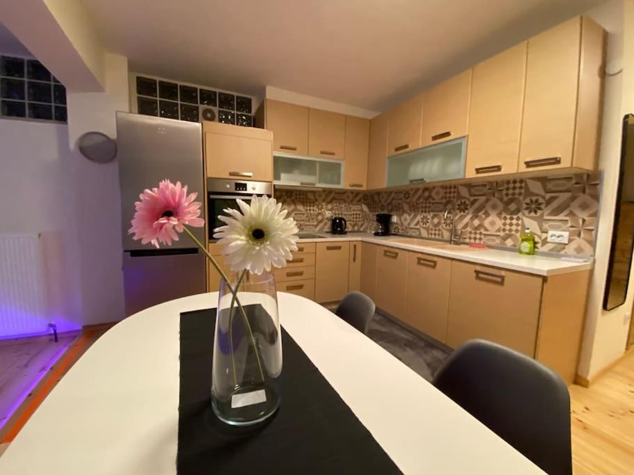 Apartment Elaiorama