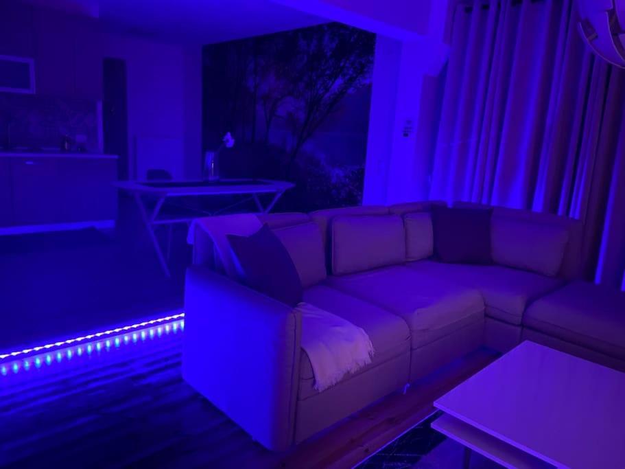 Apartment Elaiorama